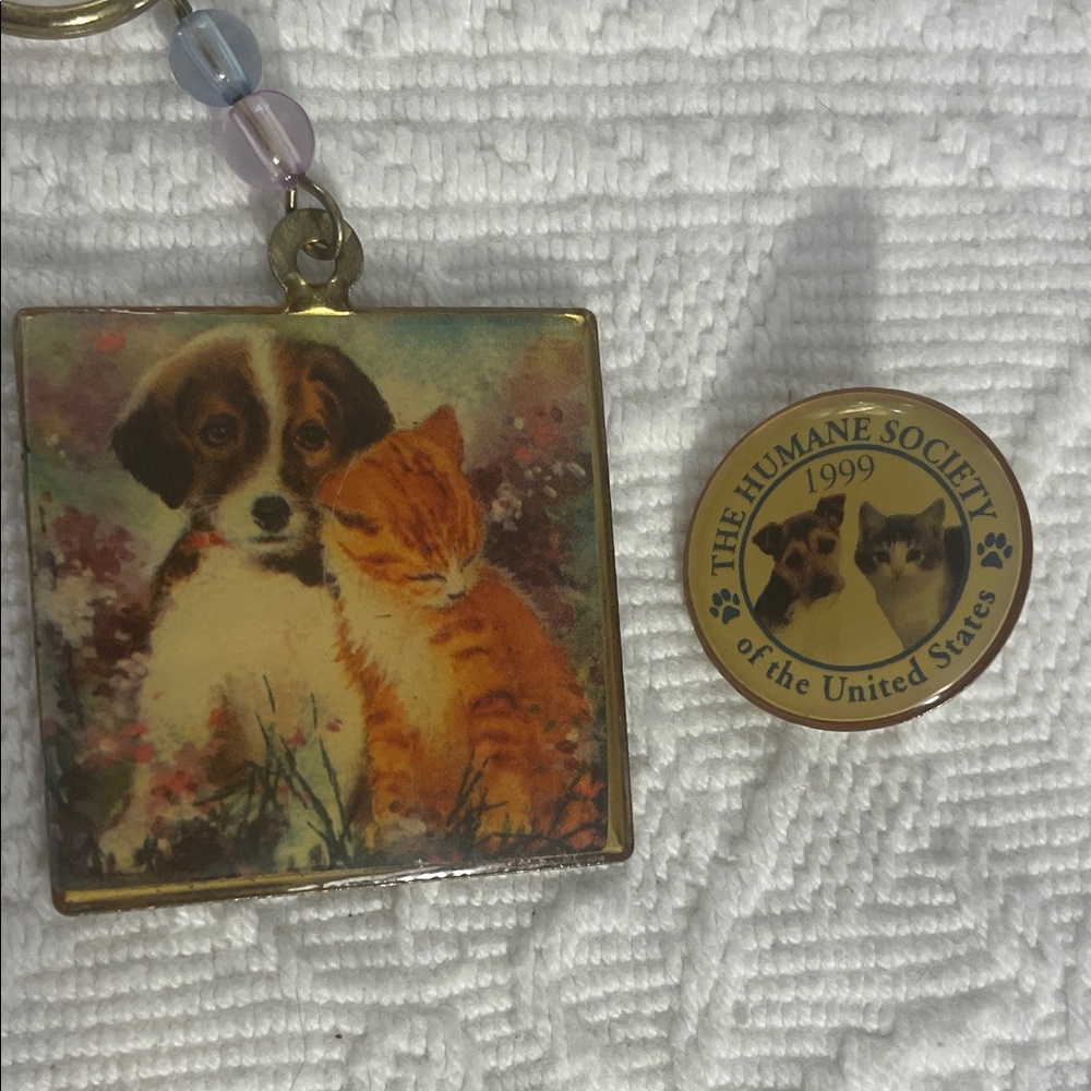 Vintage Humane Society key chain figuring a Puppy and Kitten and a pin from 1999